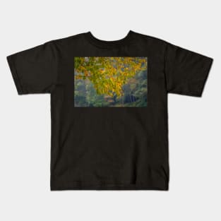 Colorful Leaves at Vogel State Park Kids T-Shirt